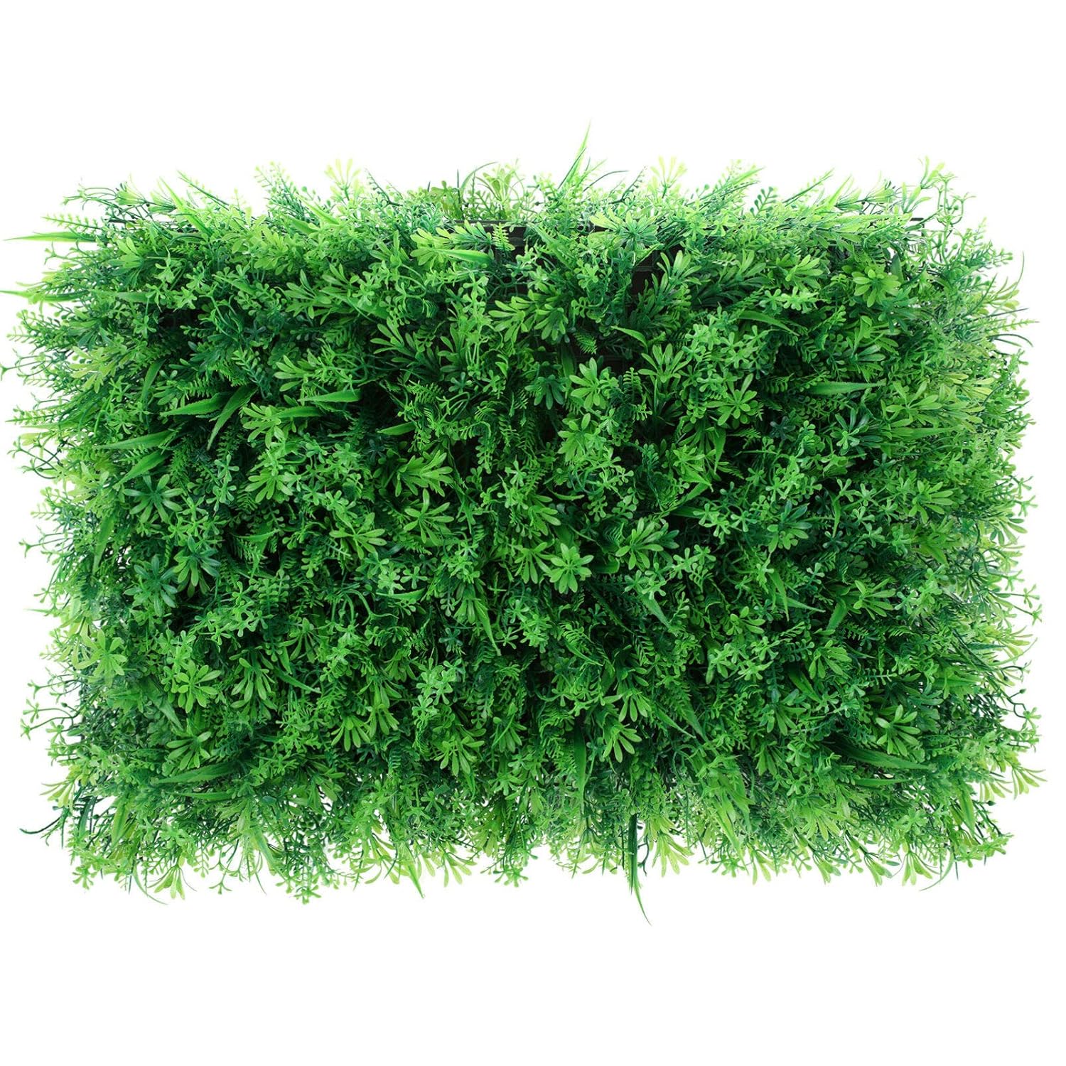 Fish Tank Aquatic Plants Fish Tank Aquatic Plants